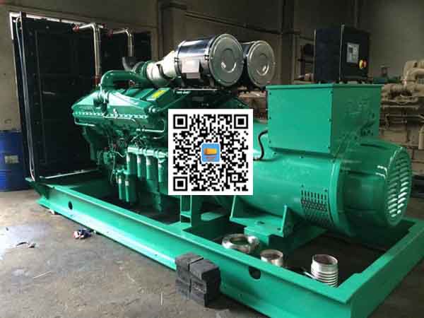 德保发电机出租-发电机大修后应作哪些试验